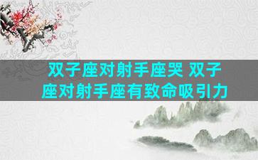 双子座对射手座哭 双子座对射手座有致命吸引力